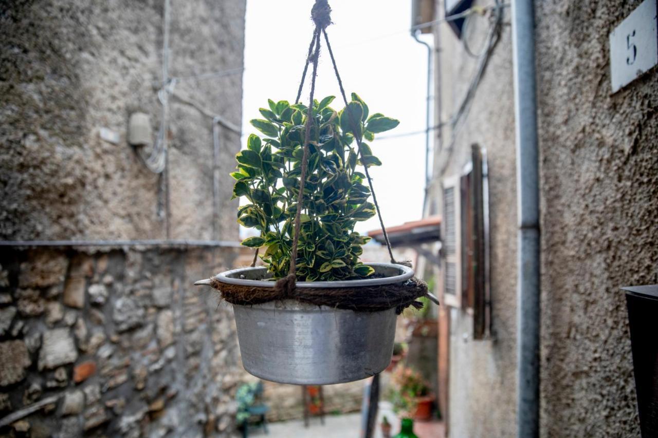 Dimora Turistica De' Piazza Hotel Roccalvecce Exterior photo