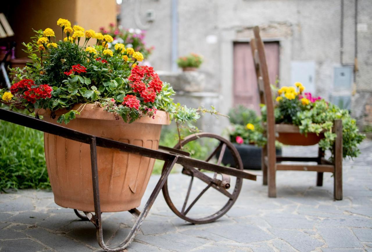 Dimora Turistica De' Piazza Hotel Roccalvecce Exterior photo